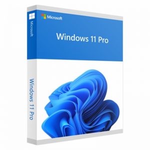 WINDOWS PRO 11 64BIT FRENCH 1PK DSP OEI DVD - FQC-10532