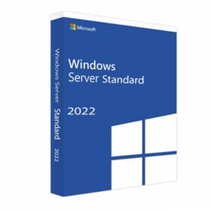 Windows Svr Std 2022 64Bit French(P73-08329)