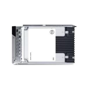 960GB SSD SATA Read Intensive 6Gbps 512e  2.5in Hot-Plug(345-BDRK)