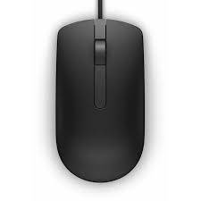 Souris optique Dell MS116(570-AAIS)