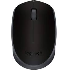 Souris sans fil LOGITECH M171 noir(910-004424)